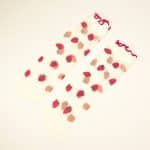 Sheer transparent socks with embroidered strawberries and red ruffled cuff